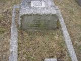 image of grave number 42100